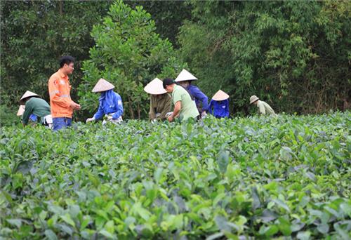 Masan Resources - Doanh nghiệp điển hình chung tay xây dựng nông thôn mới