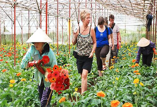 Phấn đấu mỗi tỉnh, thành phố có ít nhất 1 điểm du lịch nông thôn được công nhận