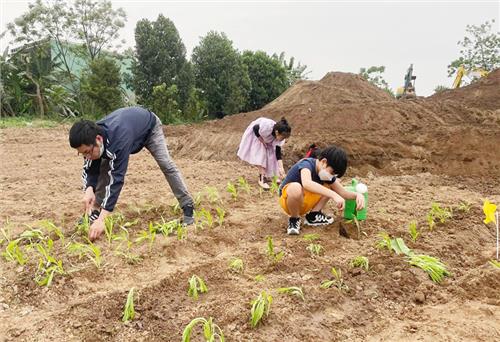 Du lịch sinh thái với trang trại, nhà vườn