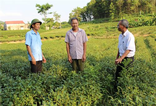 Phú Đô giảm nghèo nhờ nguồn vốn chính sách
