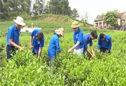 Phát huy nhiệt huyết của tuổi trẻ