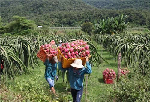 Bộ Công Thương mở thêm kênh tiêu thụ cho nông sản, thực phẩm Việt