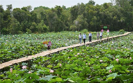 Để du lịch “Đất chín rồng” cất cánh