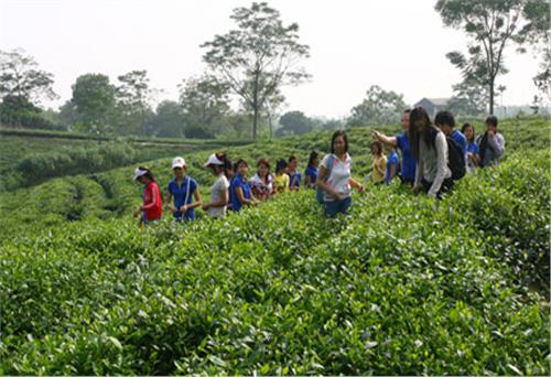 Chung sức cho ngày hội lớn