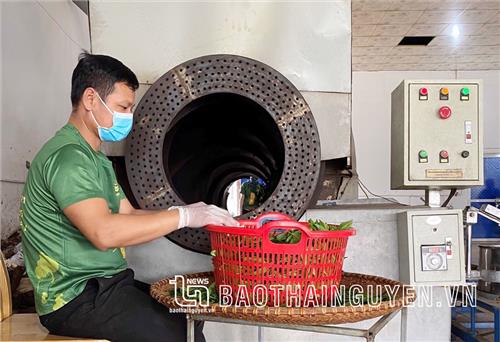 Hợp tác xã và nông nghiệp đô thị ở TP. Thái Nguyên