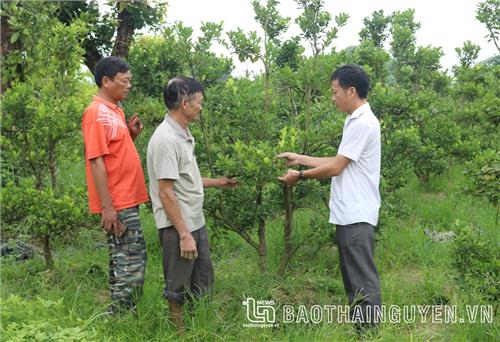 Thêm nhiều giải pháp hỗ trợ nông dân