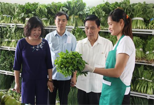 Khai trương Cửa hàng thực phẩm an toàn Thái Cương