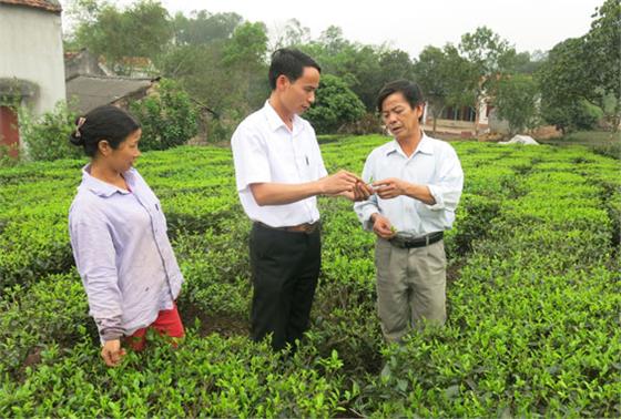 Triển khai linh hoạt ở từng chi bộ