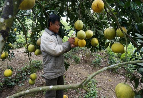 Đi lên nhờ cơ sở Đảng mạnh, dân tin