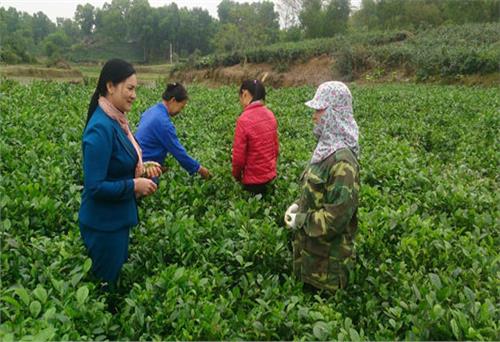 Học Bác về tinh thần trách nhiệm