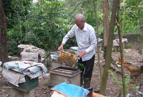 Vượt qua “nỗi đau da cam”