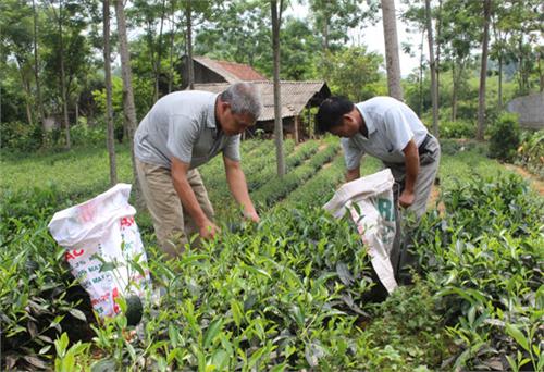 Chú trọng công tác phát triển làng nghề