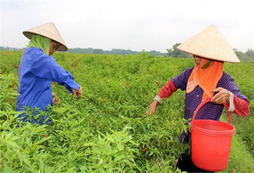 Khi nội dung sinh hoạt Đảng không còn là lý thuyết suông