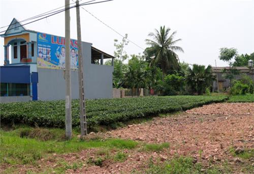 Nghiêm túc, khách quan trong công tác kiểm tra, giám sát