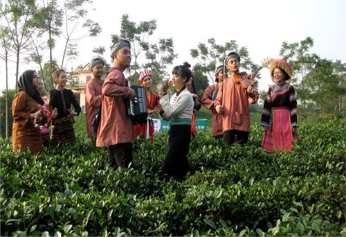 Một ngày ở vùng chè Hồng Thái