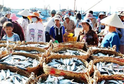 Kết quả giải quyết sự cố môi trường biển gây hải sản chết bất thường tại một số tỉnh miền Trung từ Hà Tĩnh đến Thừa Thiên Huế