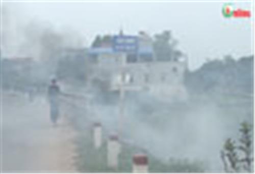 Ô nhiễm khói độc trên Quốc lộ 37