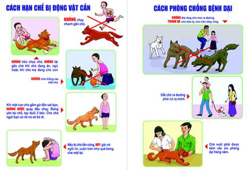 Chỉ thị về việc tăng cường các biện pháp cấp bách phòng, chống bệnh dại trên địa bàn tỉnh Thái Nguyên