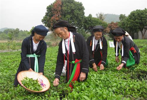 Từ những góc nhìn về miền núi, vùng cao: Hiện thực sinh động từ cuộc sống (Kỳ II)