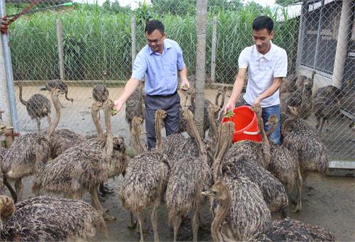 Lập nghiệp trên vùng đất khó