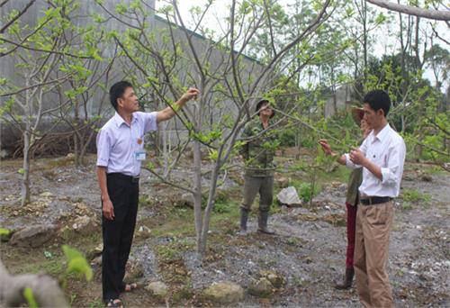 Nhìn thẳng vào thực tế để đổi mới và tinh gọn: Bài 3- Nhất thể hóa chức danh: Không phải tất cả “xuôi chèo mát mái”