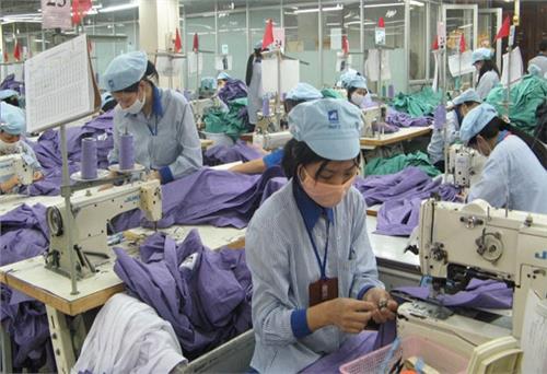 Hoa Kỳ gia tăng bảo hộ, xuất khẩu liệu có gặp khó?