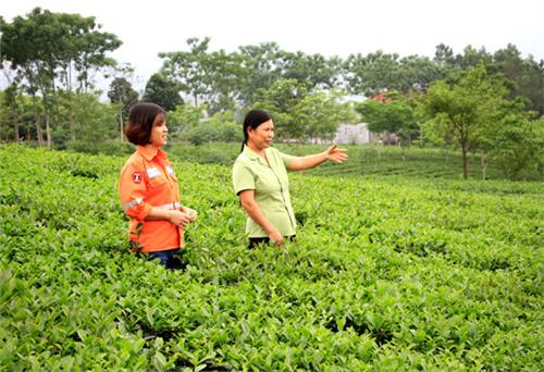 Cuộc sống sau 