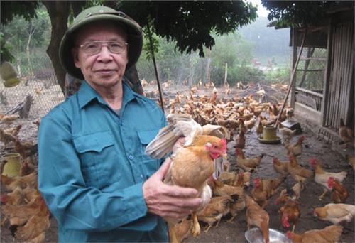 Một cựu chiến binh năng động