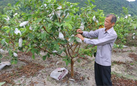 Người uy tín tiêu biểu nỗ lực phát triển kinh tế