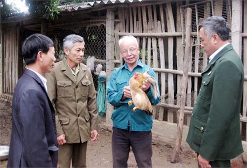 Tình đồng chí làm nên sức mạnh