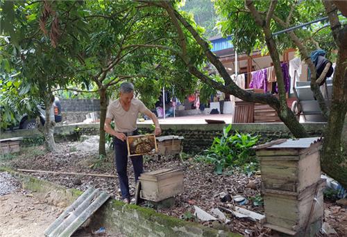 Đẩy mạnh phong trào giúp nhau phát triển kinh tế