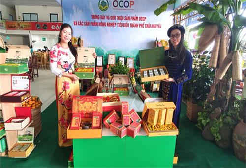 OCOP - Chắp cánh cho thương hiệu chè