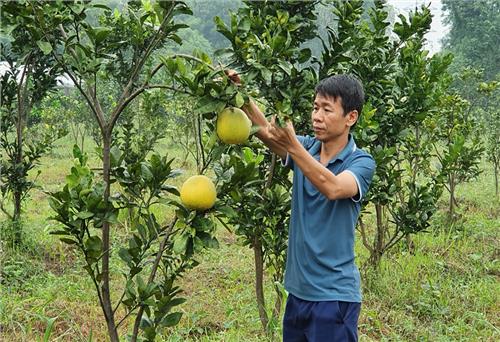 “Trái ngọt” từ công nghệ