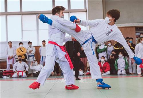 Đại hội Karate người Việt Nam tại Nhật Bản