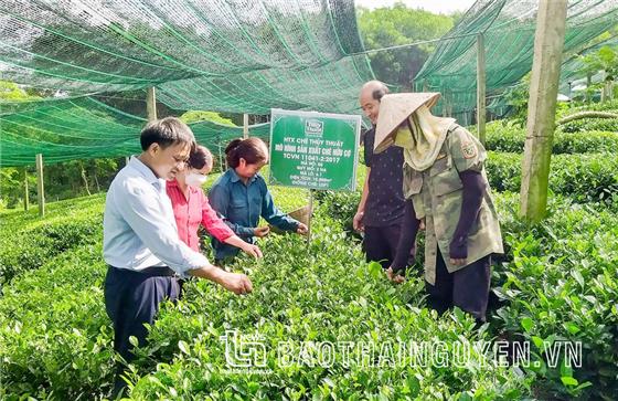 Mang cơ hội đến người dân