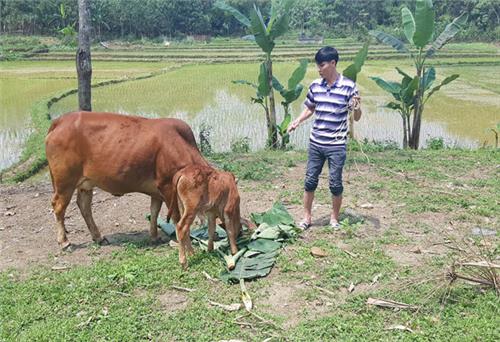 Tin ở ngày mai