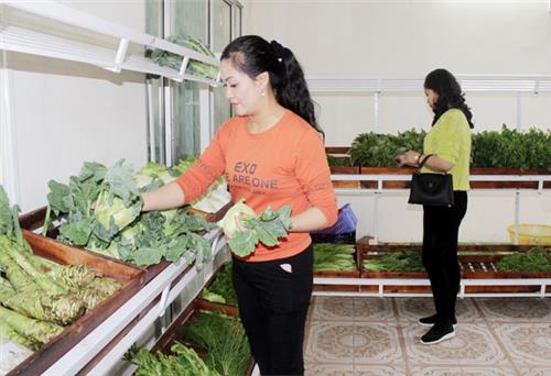 Góp phần bảo vệ quyền lợi của người tiêu dùng 