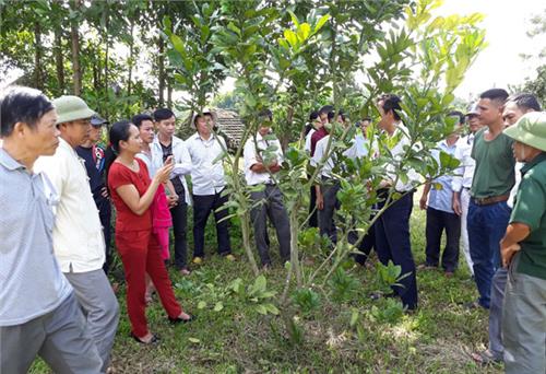 Đưa khoa học - kỹ thuật đến với đồng bào