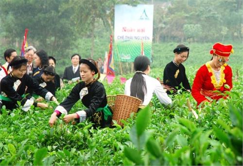 The development target of the Vietnamese tea industry