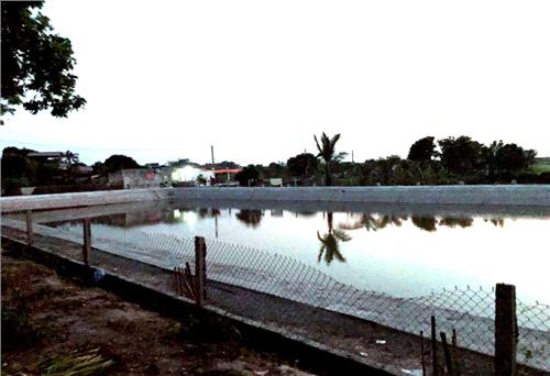 Khởi tố vụ câu cá biến tướng cờ bạc