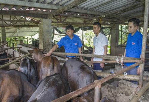 Tuổi trẻ xã La Hiên với những việc làm thiết thực