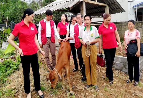 “Cầu nối” trong công tác nhân đạo