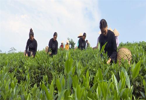 Tập trung nguồn lực chăm lo đời sống đồng bào dân tộc thiểu số