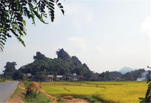 Bạn biết gì về địa lý hành chính huyện Phú Lương?