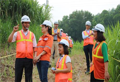 Góp phần phủ xanh đất mỏ