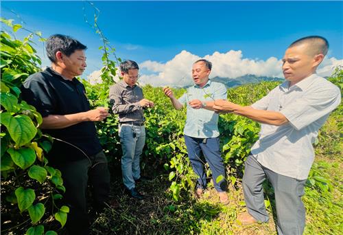“Chìa khóa” để tái cơ cấu nông nghiệp thành công