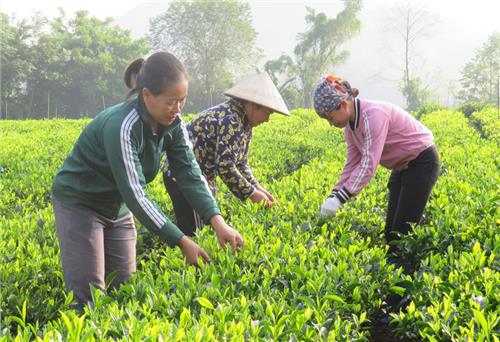 Khơi dậy tinh thần đoàn kết từ mỗi khu dân cư