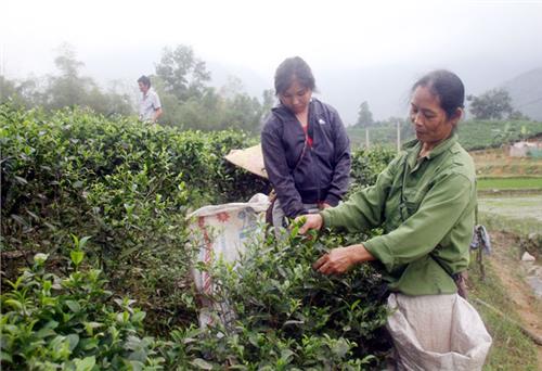 Trăn trở Tân Yên