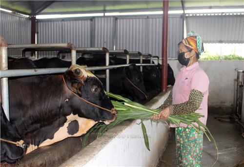 Chú trọng nâng cao thu nhập cho người dân 