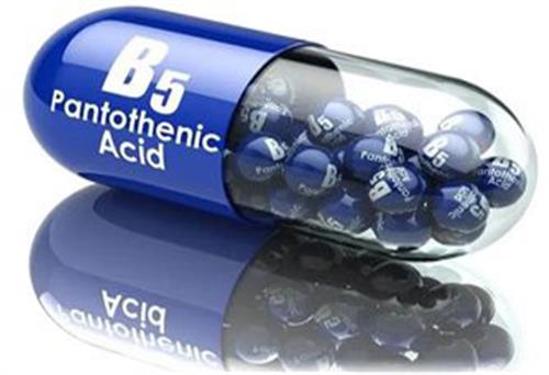 Vitamin B5 có tác dụng gì với sức khỏe chúng ta?